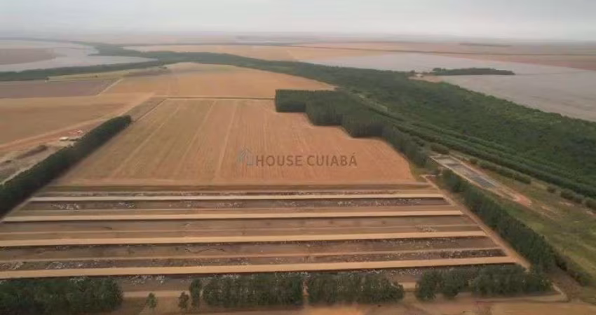 Fazenda de 20.190 mil hectares na região da cidade de Campo Verde no estado do M