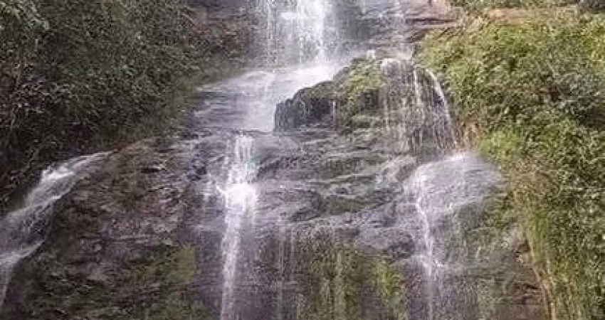 fazenda de 159 hectares em Buritis, Minas Gerais