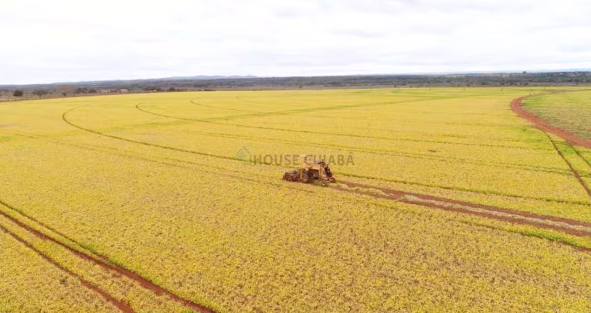fazenda na região da cidade de Unaí no estado de Minas Gerais