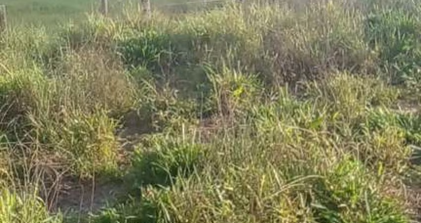 fazenda no total de 2.400 hectares na região de Ubiratâ MT