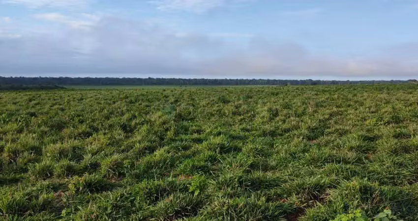 Fazenda de 10.312 hectares na região do município da cidade de marcelândia no es