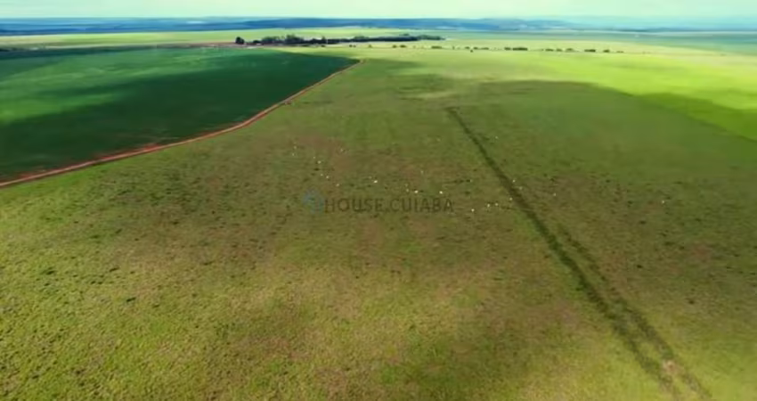 Fazenda de 723 hectares na região da cidade de Rondonópolis no estado de Mato Gr