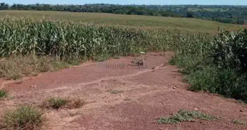 Fazenda de 320 hectares no município da cidade de juscimeira no estado do mato g
