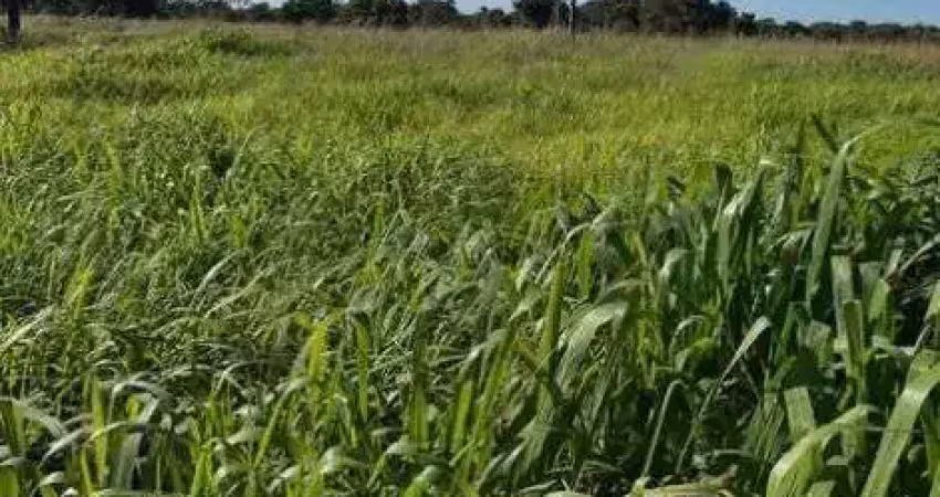 Sitio de 19 hectares na região da cidade de nossa senhora do livramento no mato