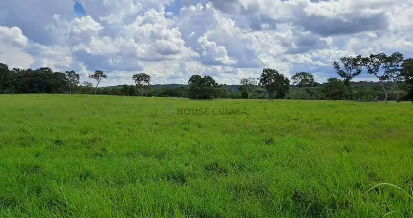 Fazenda com 91 hectares banhando pelo rio cuiabá no município da cidade de acori