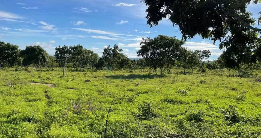 Sitio de 7 hectares na região barreiro branco no município de nossa senhora do l