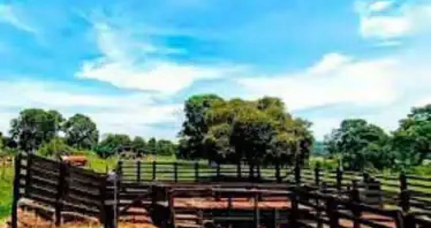 Vende-se area rural com 2 nascente de agua mineral prox jaciara mt