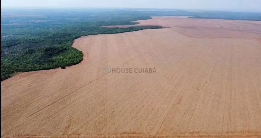 Fazenda de 3.705 hectares sendo 1.950 hectares em lavoura no mt.
