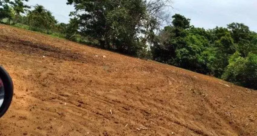 Fazenda à venda na Zona Rural, 00, Tira Sentido, Alto Paraguai