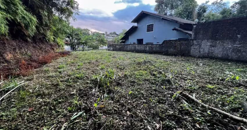 Lindo terreno amplo com preço abaixo do mercado - rua tranquila e arborizada