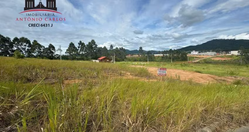 Lote à venda, nova governador - governador celso ramos/sc