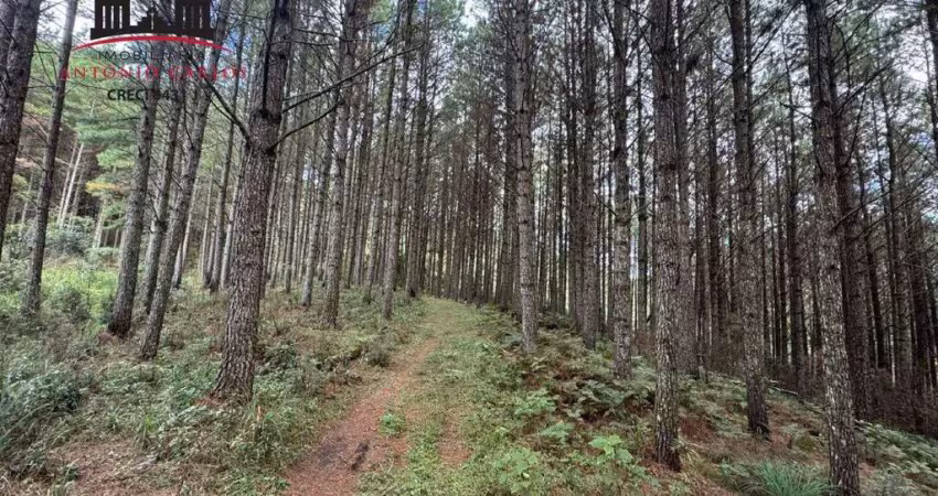 Chácara / sítio à venda no Rio Broecker, Anitápolis 