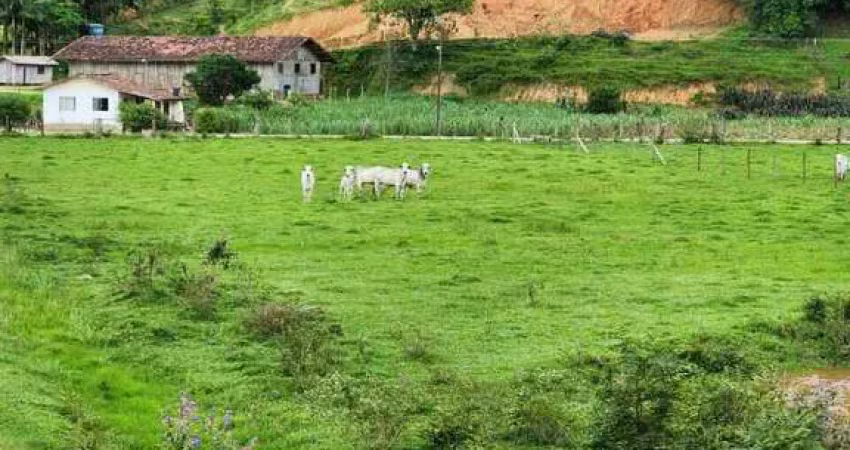 Terreno para venda na área rural de biguaçu, fazenda de dentro