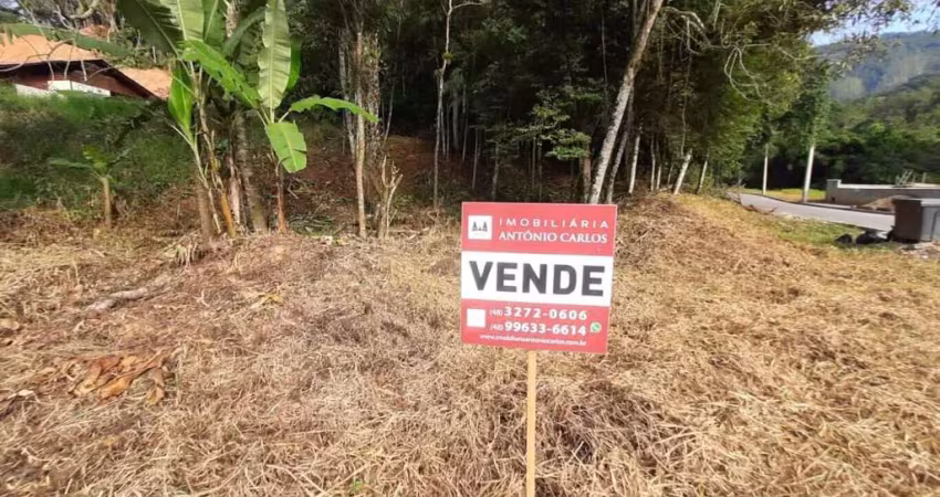 Terreno para venda bairro rio farias, antônio carlos - sc