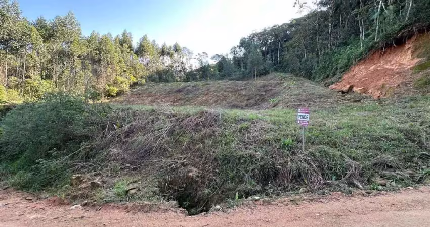 Chácara / sítio à venda na Vila Doze, Antônio Carlos 