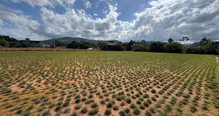 O espaço para o seu galpão está aqui! conheça esse terreno à venda no bairro santa catarina, biguaçu/sc.