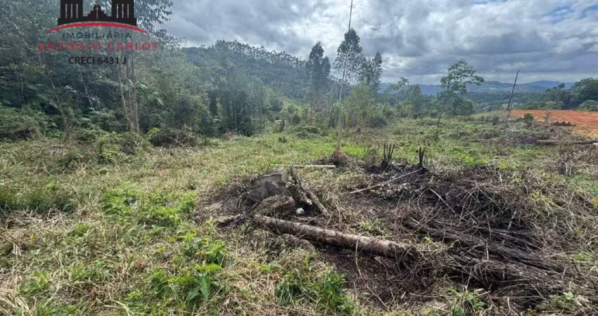 Sítio à venda, área rural de antônio carlos - antônio carlos/sc