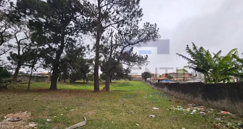 Terreno à venda na Avenida Doutor Roberto Nobuo Sato, Vila Cintra, Mogi das Cruzes