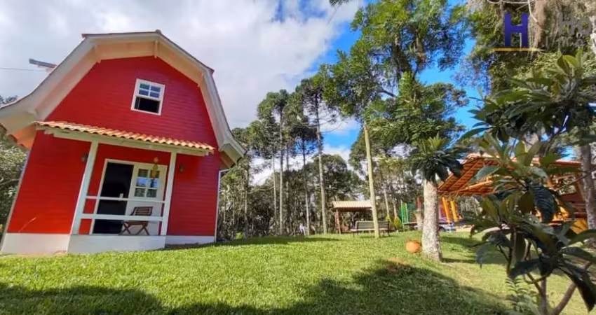 Chácara / sítio com 3 quartos à venda na ESTRADA DOS PALMITOS, Avenquinha, Campo Alegre