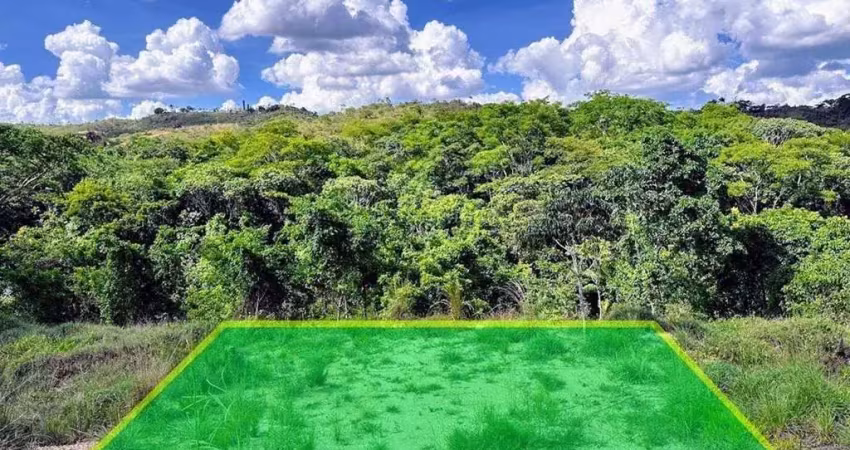 Oportunidade: lote com fundo e vista livre para reserva.