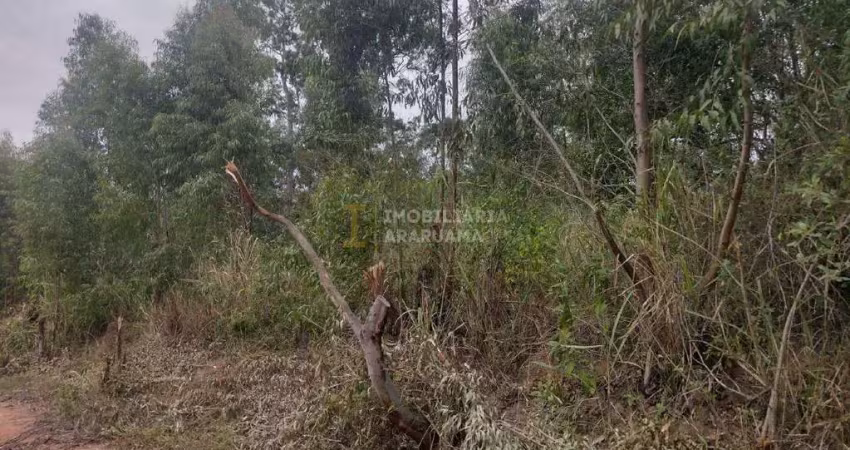Terrenos à venda – total de 1.780 m² com escritura e iptu em dia