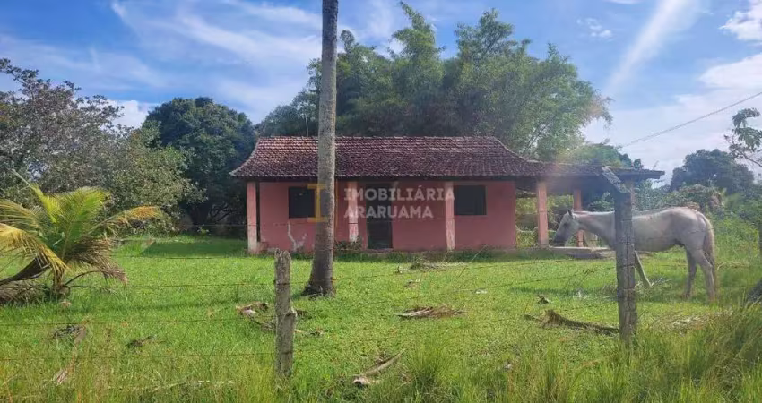 Sítio com 1.800m², pomar formado e casa aconchegante