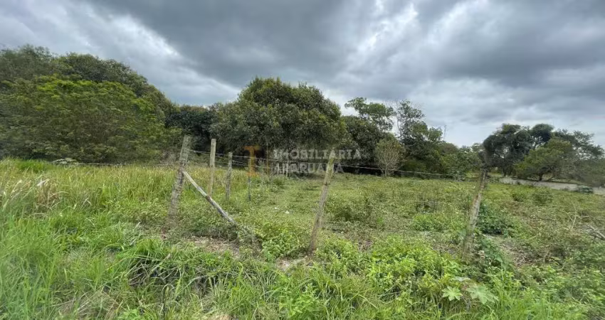 Terreno amplo com 4.000m² em marro grande – a apenas 300m da rodovia!