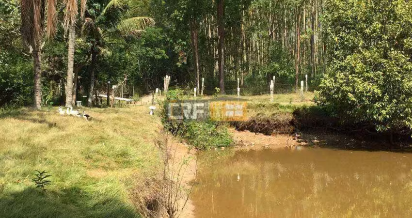 Lindo sítio com 3 imóveis, lago, piscina e muito verde – oportunidade única!