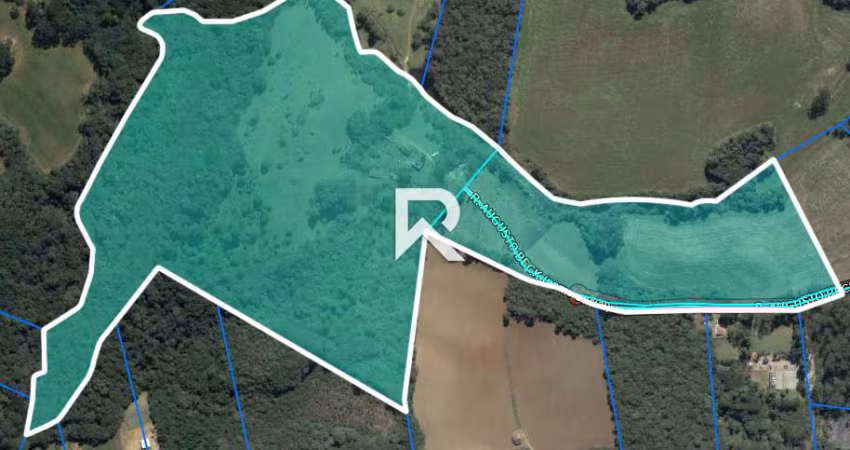 Terreno Amplo à venda, 136.750,00 m² - Zoneamento APA PASSAÚNA - Augusta - Curitiba/PR