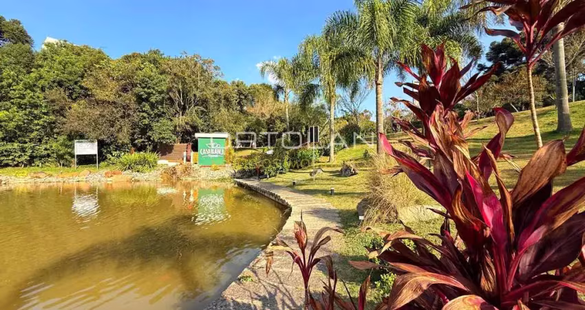 Apartamento 50m² - 02 dormitórios - santo antônio - são josé dos pinhais-pr