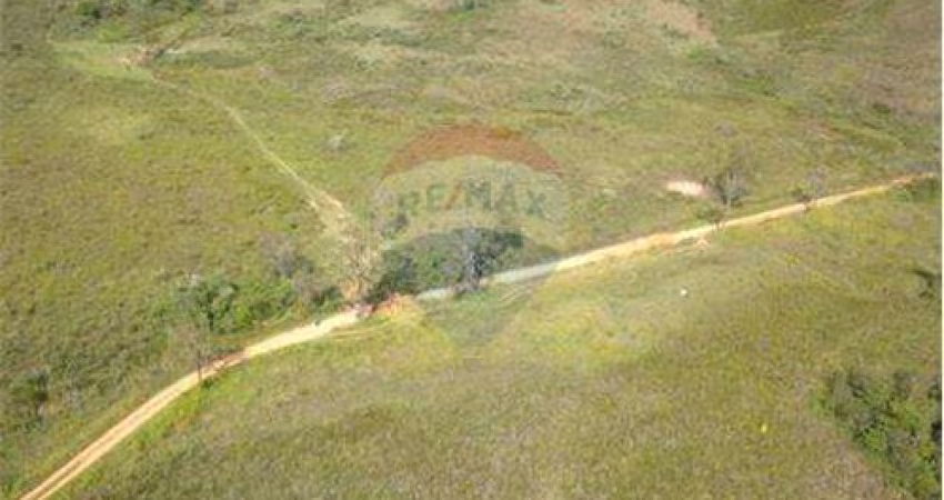 Terreno localizado entre Filgueiras e Coronel Pacheco, ótimo  para criação de gado, ou para loteamento, a 2 km do asfalto.