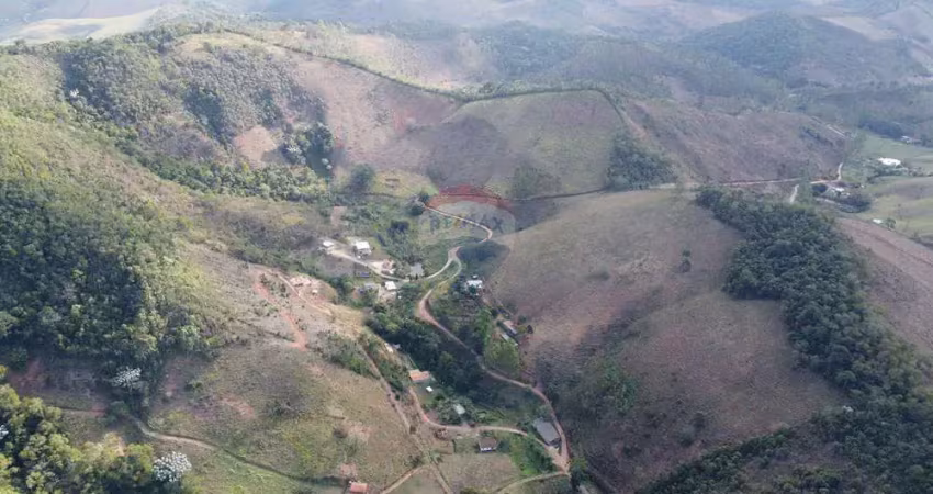 Fazenda a venda ewbank da câmara minas gerias 217 mil metros