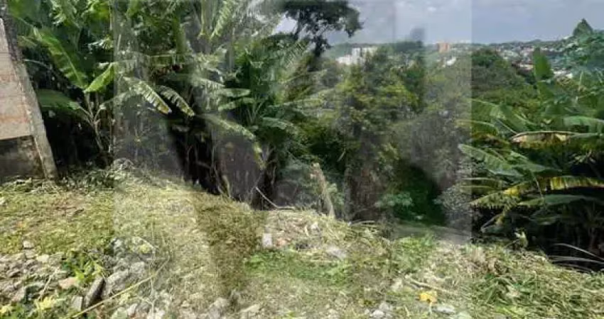Terreno para venda em são paulo, jardim virginia bianca