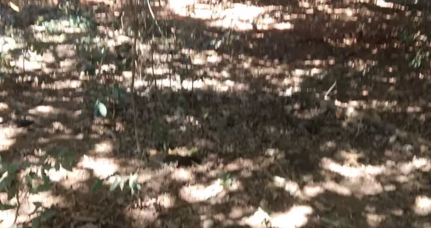 Chácara / sítio à venda na Acesso Nerópolis, 00, Zona Rural, Anápolis