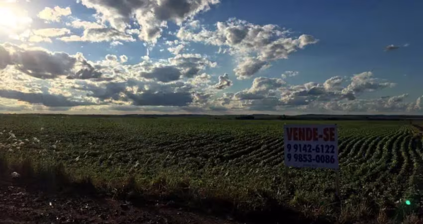 Chácara / sítio à venda na Estrada Romeira, Gleba Ribeirão Atlantique, Maringá