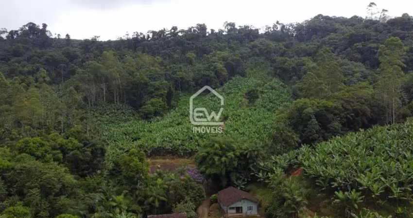 Sítio com plantação de bananas com área total de 61.400m² em jaraguá do sul, sc