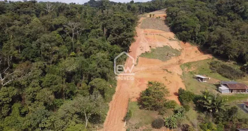 Terreno comercial à venda na Rua, 369, Ilha da Figueira, Guaramirim