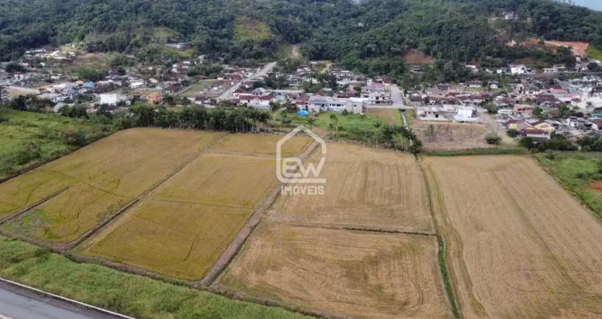 Terreno comercial à venda na Rua, 460, Centro, Schroeder