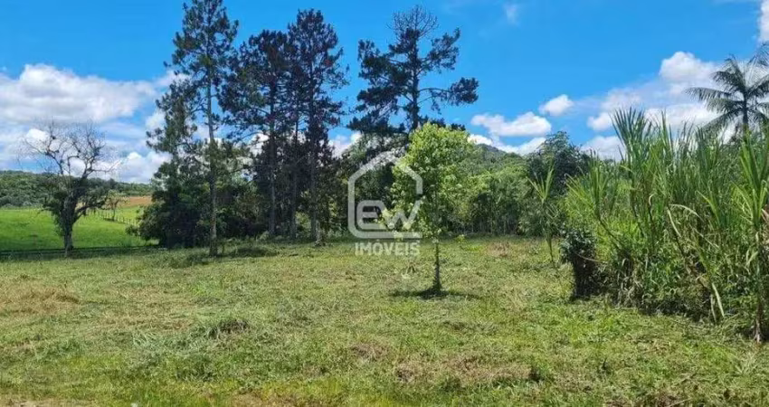 Terreno comercial à venda na Rua, 698, Cruzeiro, Rio dos Cedros