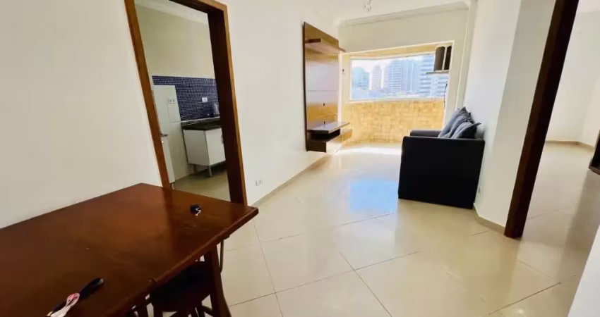 Excelente apartamento mirim - praia grande  vista mar