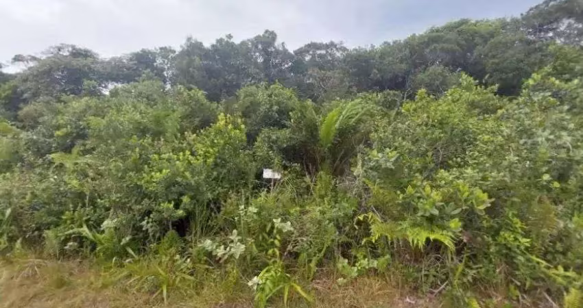 Terreno à venda no Centro, Itanhaém 