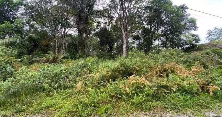 Terreno à venda no São Fernando, Itanhaém 