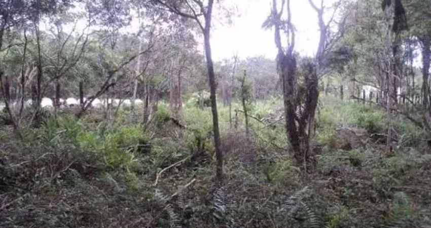 Chácara / sítio à venda no Balneário Gaivota, Itanhaém 