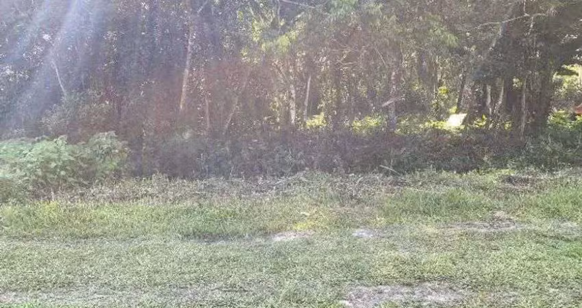 Terreno à venda no Centro, Itanhaém 