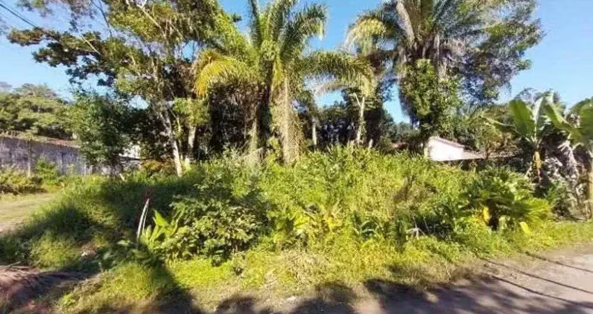 Terreno à venda na Zona Rural, Peruíbe 
