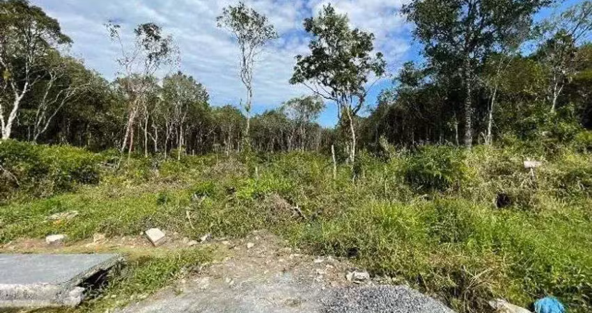 Terreno à venda no Bopiranga, Itanhaém 