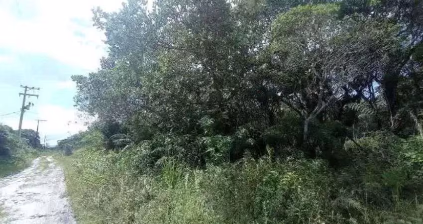 Terreno à venda no Centro, Itanhaém 