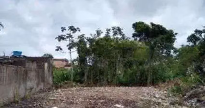 Terreno à venda no Centro, Itanhaém 