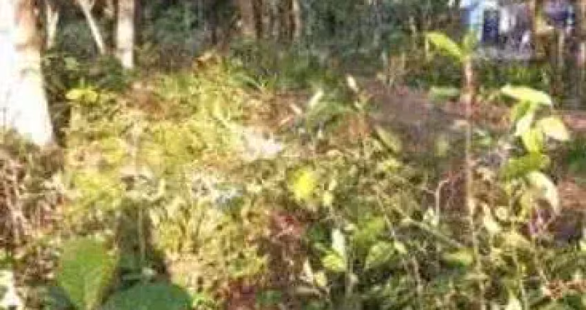 Terreno à venda no Jardim Maramba, Itanhaém 