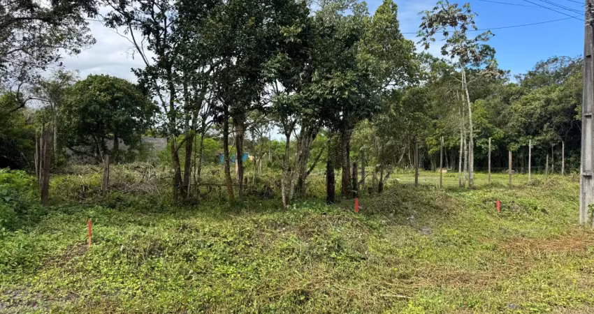 Terreno para venda em itanhaém, no bairro gaivota, lado serra, à 100 metros da rodovia